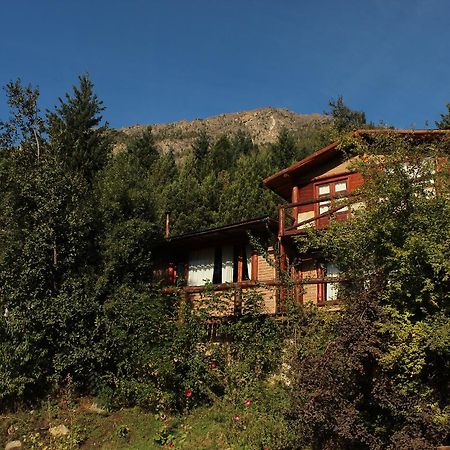 Criollo Lodge Hoyo de Epuyén Buitenkant foto