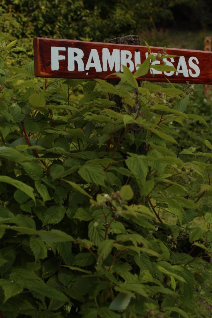 Criollo Lodge Hoyo de Epuyén Buitenkant foto